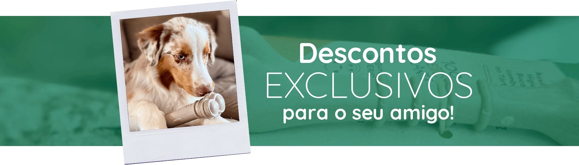 Banner linha Banner linha