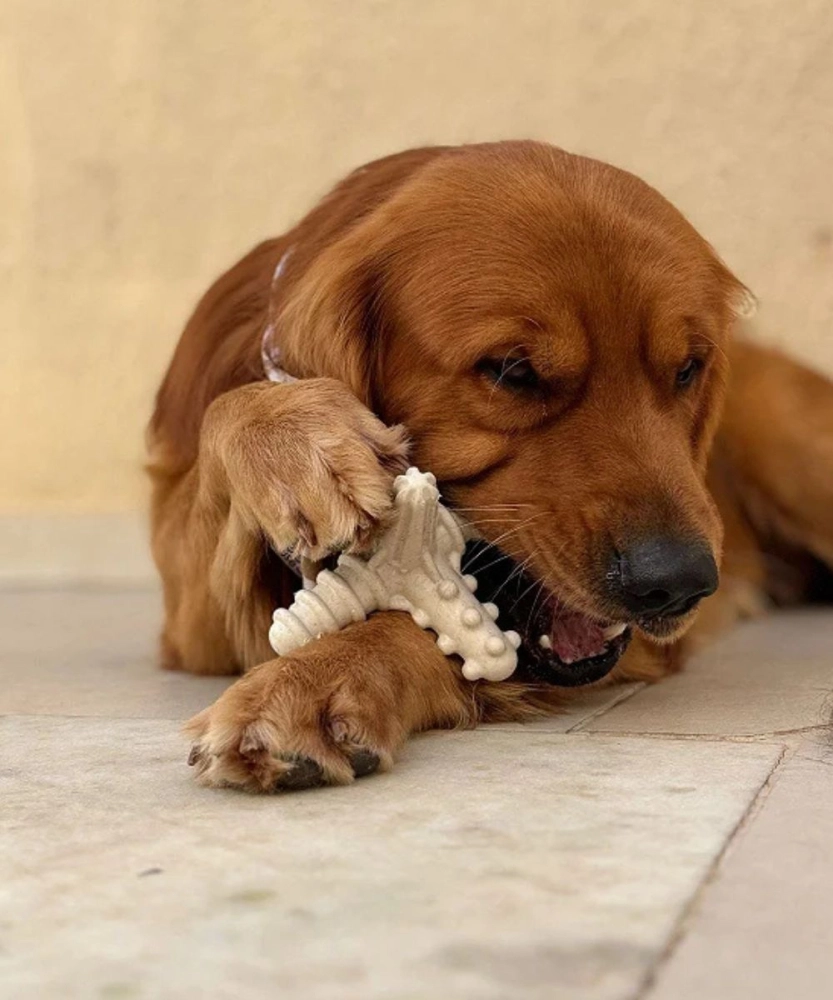 Asterisco Grande Laranja - TESTE 7EM12 Asterisco Grande Laranja - TESTE 7EM12