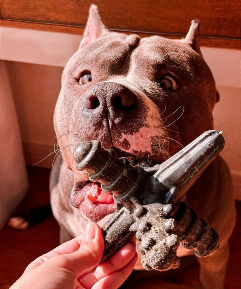 Asterisco Pequeno Madeira 4 Asterisco Pequeno Madeira 4