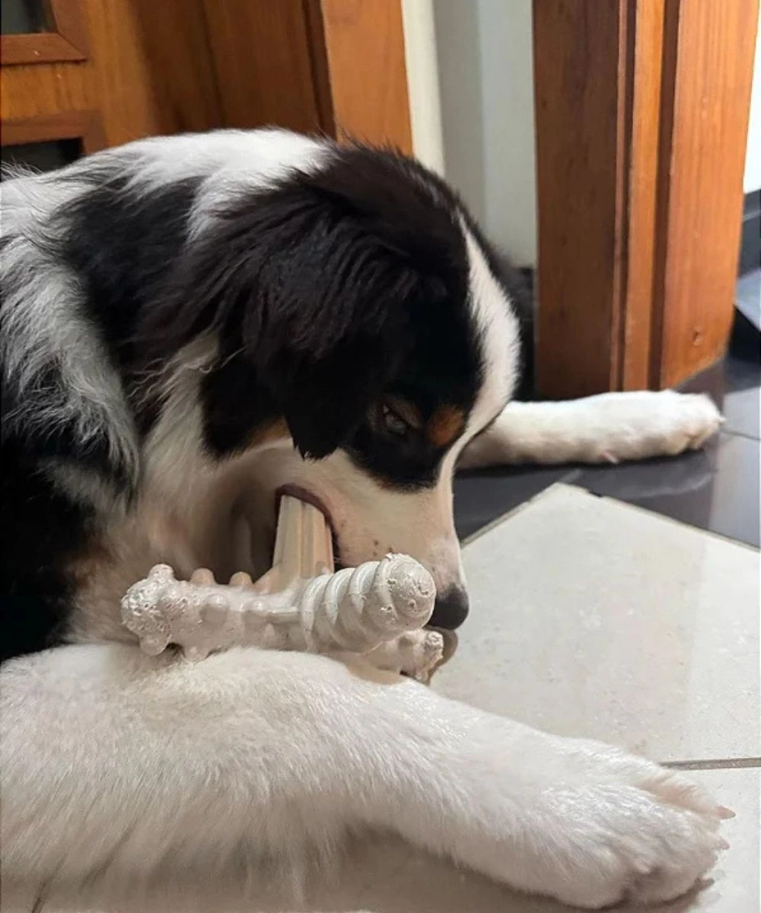 Asterisco Pequeno Madeira 5 Asterisco Pequeno Madeira 5