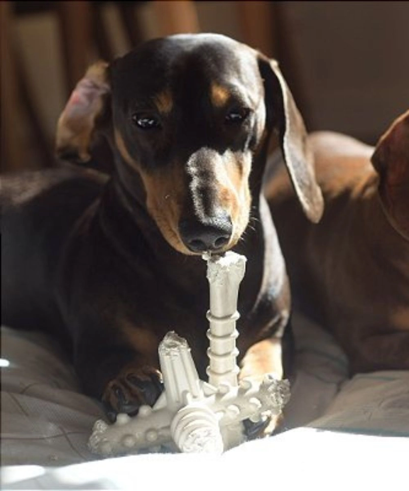 Asterisco Pequeno Madeira 6 Asterisco Pequeno Madeira 6