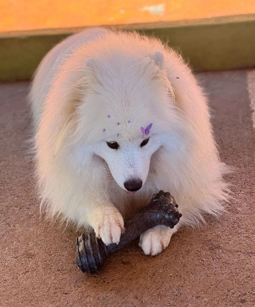 Asterisco Pequeno Madeira 7 Asterisco Pequeno Madeira 7