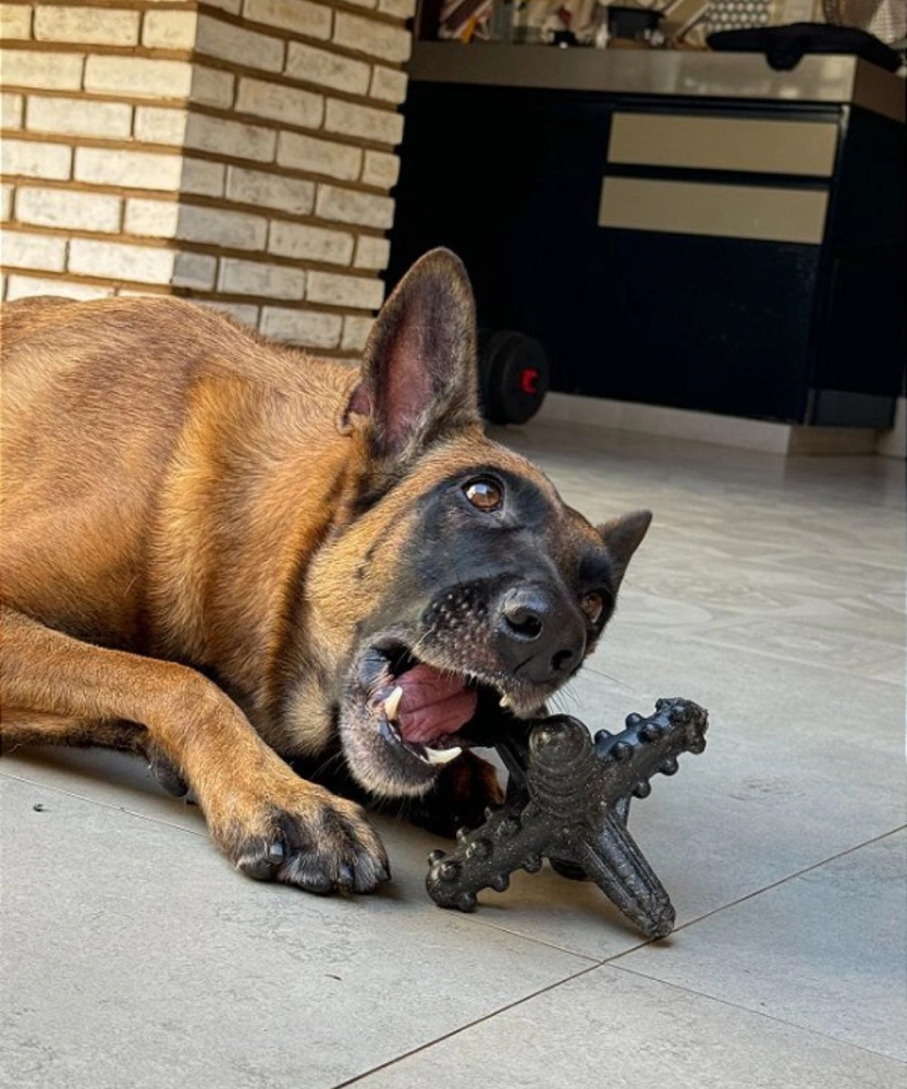 Asterisco Pequeno Madeira 8 Asterisco Pequeno Madeira 8