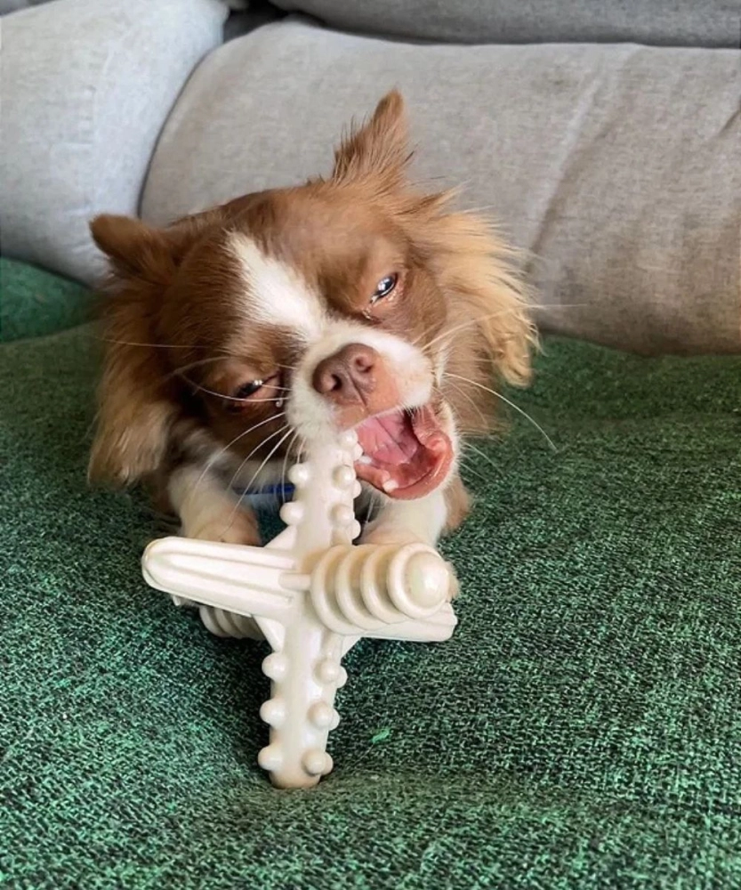 TESTE 7EM12 - Asterisco Pequeno Madeira TESTE 7EM12 - Asterisco Pequeno Madeira